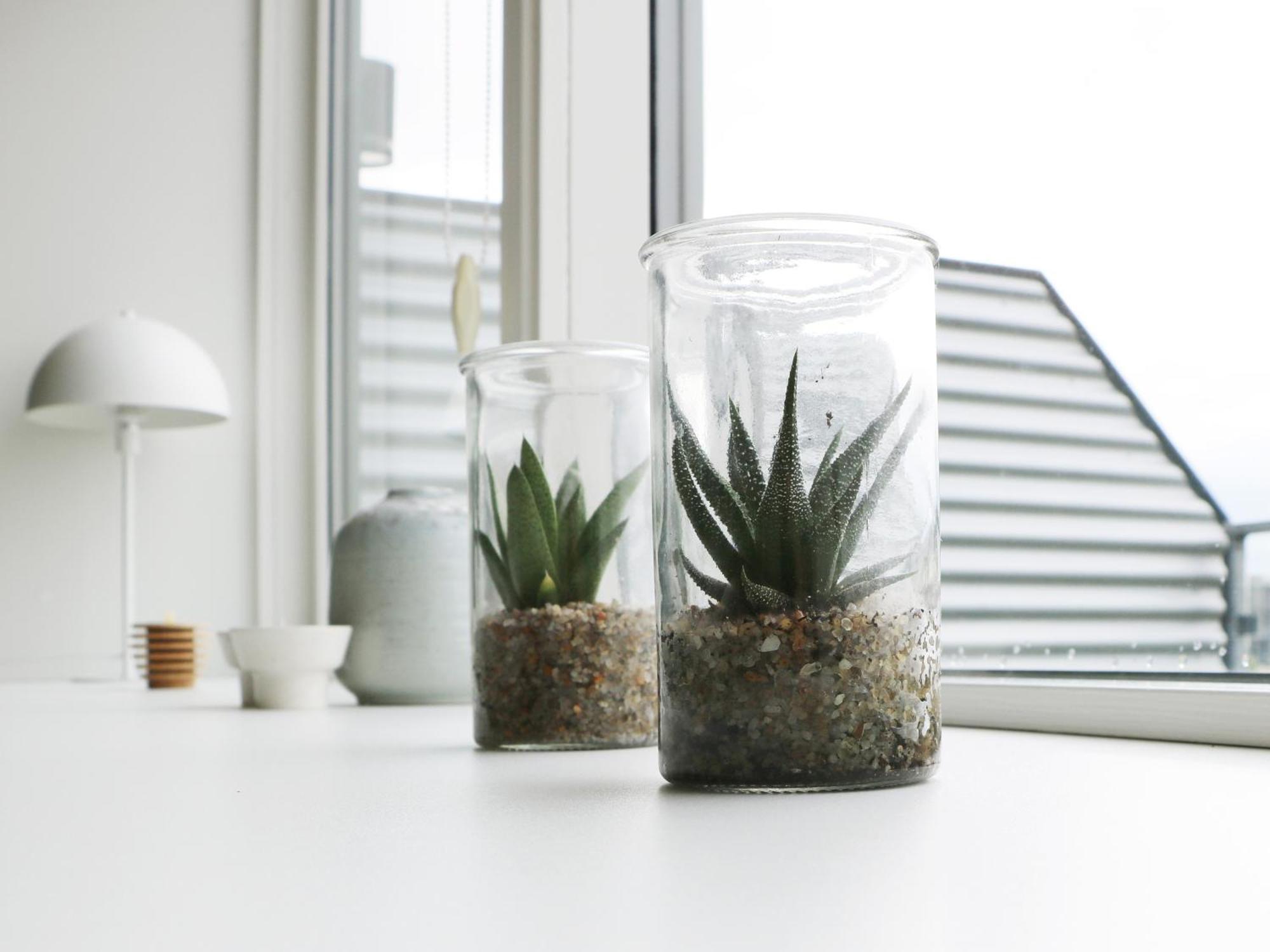 Athome Apartments オールフス エクステリア 写真